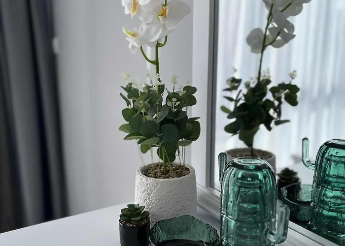 Hotel калитеа Pomorie